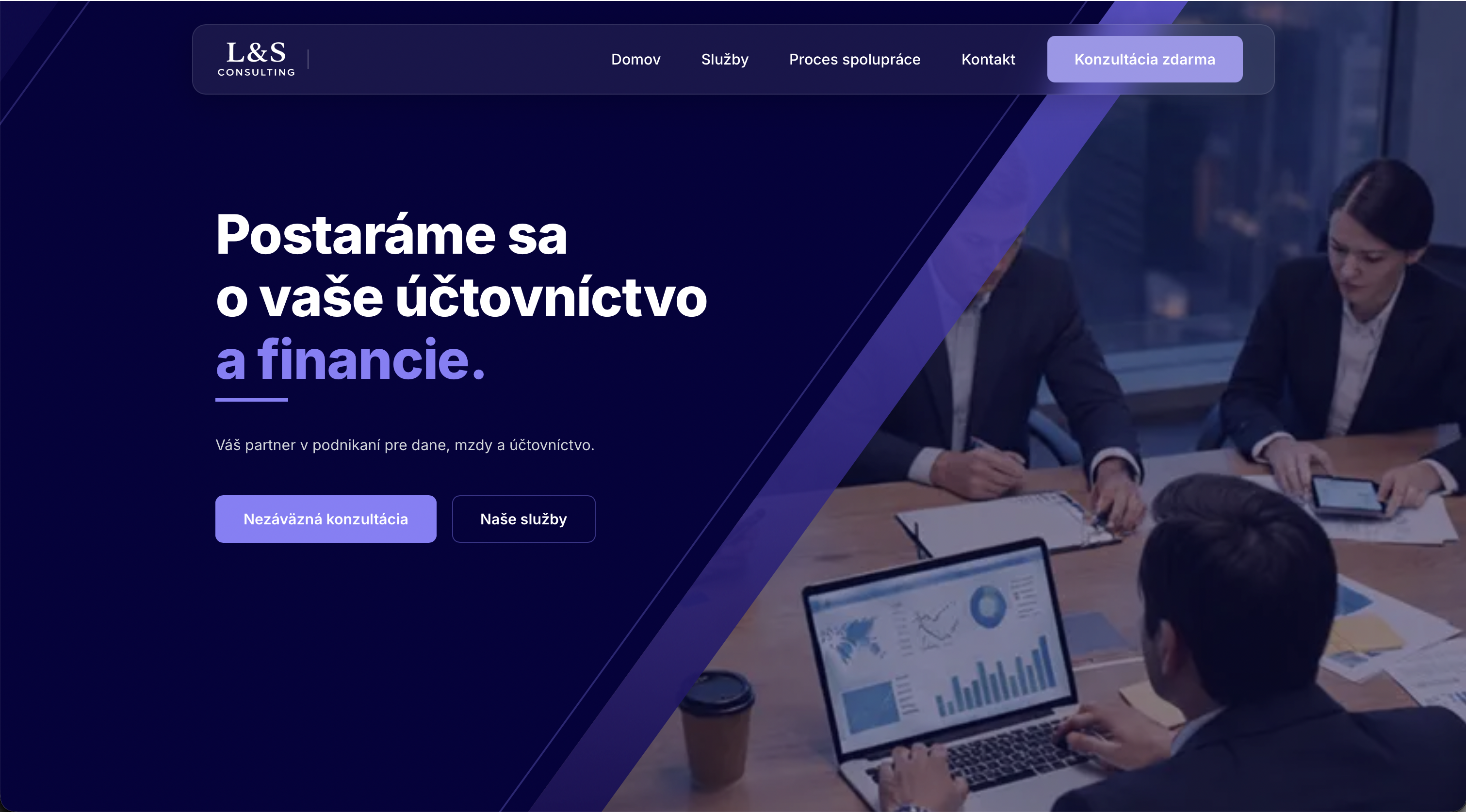 L&S Consulting Main View
